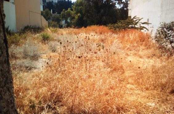 ακαθαριστα οικόπεδα