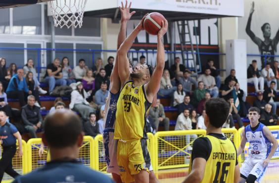 ergobasket