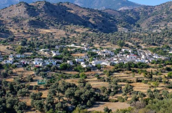 Μαγαρικάρι