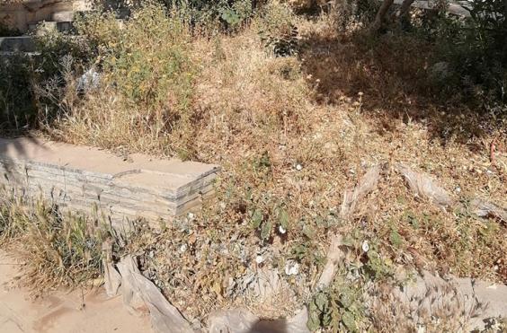 παρκάκι τίτου γεωργιάδη