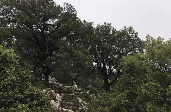 περιοχή Natura