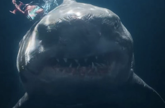 καρχαρίας, μεγαλόδοντας, θάλασσα