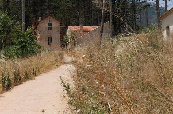 ακαθάριστα οικόπεδα 