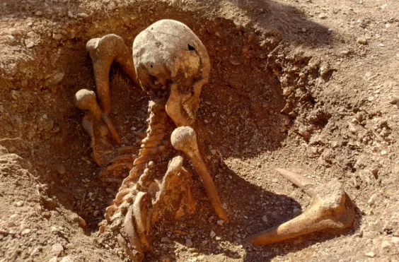 σκελετοί, μυστήριο