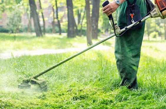 καθαρισμος οικοπεδου