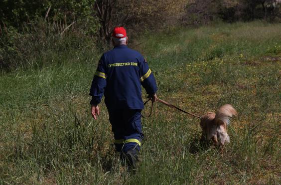 ερευνες για Ελευθερία Γιακουμάκη