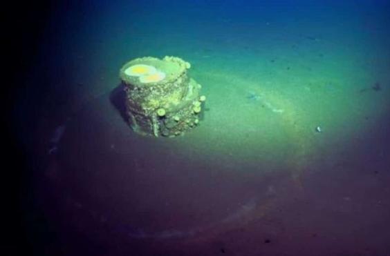 ΒΑΡΕΛΙΑ ΜΕ ΔΑΚΤΥΛΙΟΥΣ