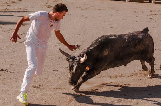ταυρομάχος, φεστιβάλ