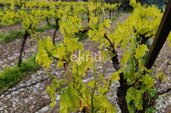 χαλαζόπτωση προφήτης ηλίας