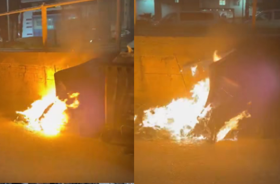 ΚΑΔΟΙ ΚΑΤΣΑΜΠΑ