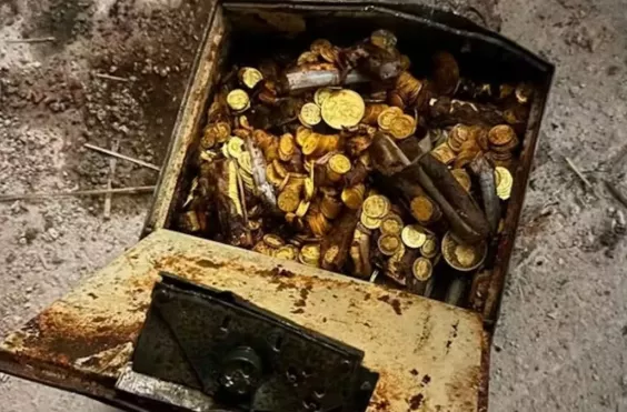 υδραυλικός χρυσά νομίσματα