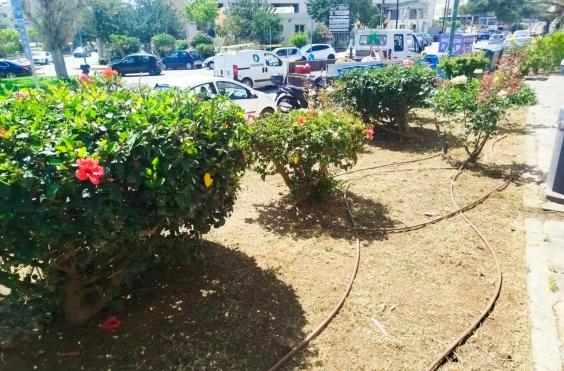 αγιος νικολαος εργασιες πρασινου