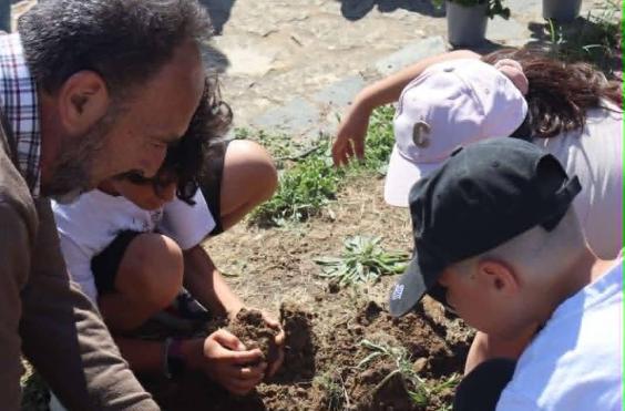 Δράση δεντροφύτευσης και καλλωπισμού