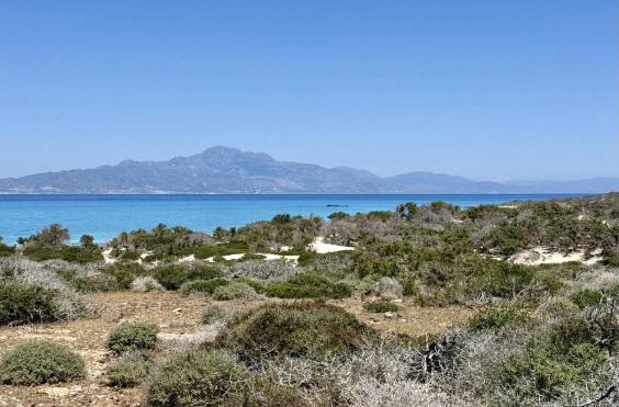 Νήσος Χρυσή