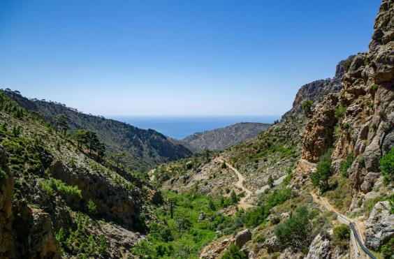 ΒΟΥΝΑ