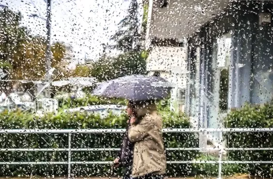 βροχή 