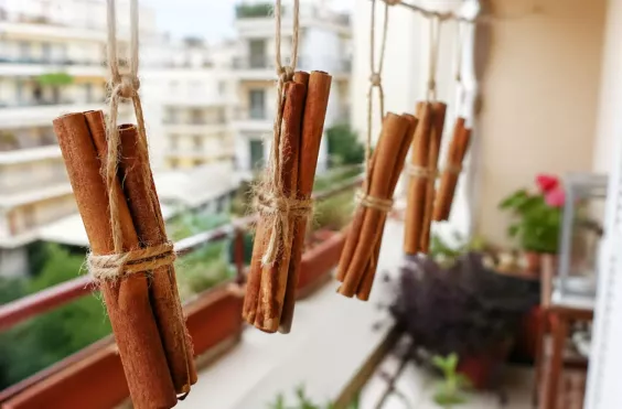 κανέλα μπαλκόνι