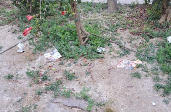 παρκο ευκαλυπτων ηρακλειο