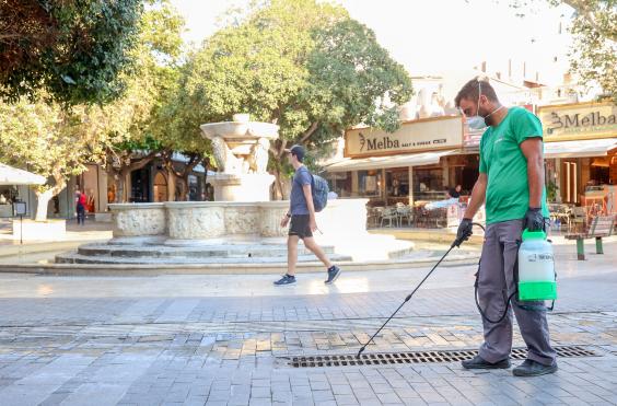 απεντόμωση και απολύμανση σχαρών