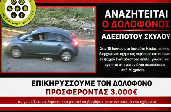 Γαστούνη