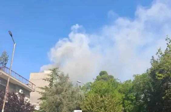 Κορυδαλλός