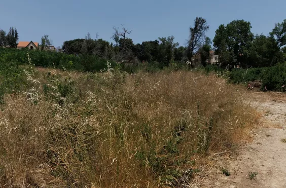 ακαθάριστα οικόπεδα