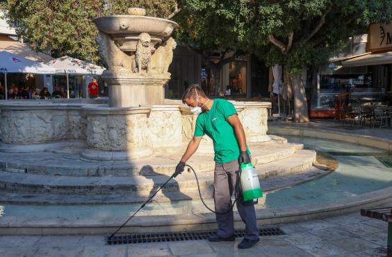 απεντόμωση λιοντάρια