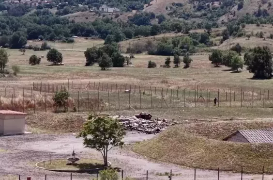 μποργκοροσε