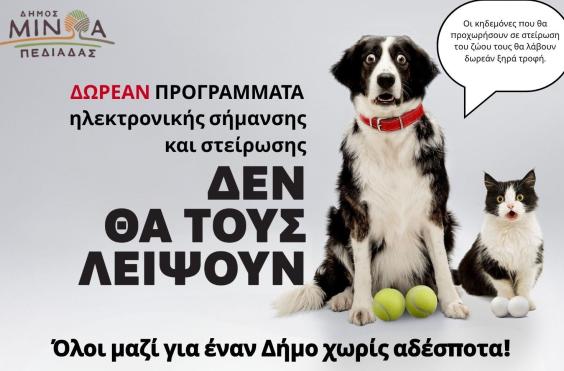 Αδέσποτα_ζώα 
