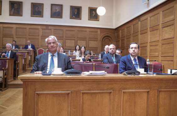 βορίδης επιτροπή