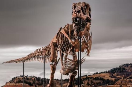 t-rex γκας