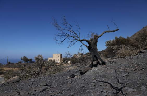 Φωτιά στο Νότιο Ρέθυμνο