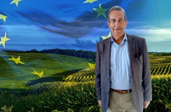 δοξαστακης καπ