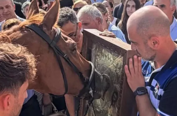 αλογο προσκυνα την παναγια καλαβρυτα
