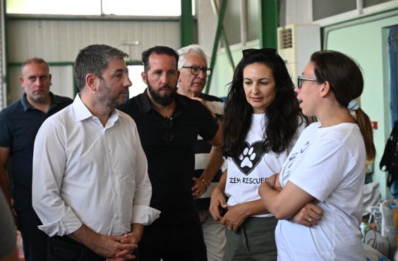 ανδρουλακης πυροπληκτα ζωα
