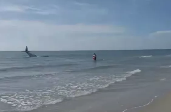 Φλόριντα