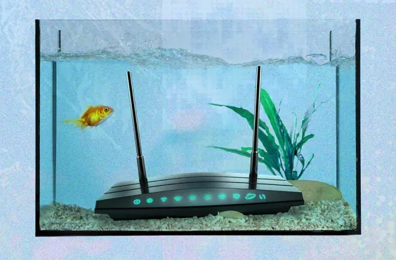WIFI