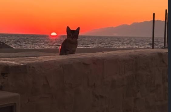 ματαλα