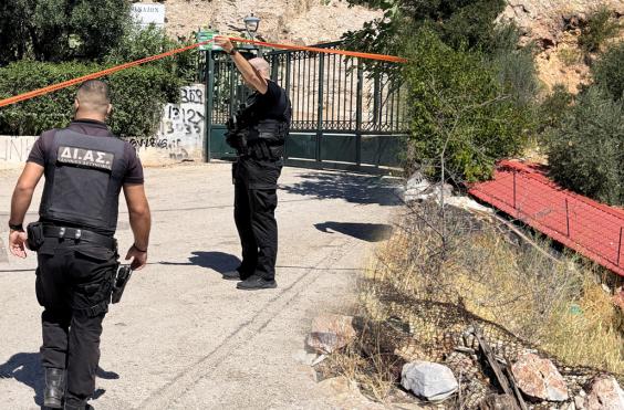 αστυνομια κυψελη