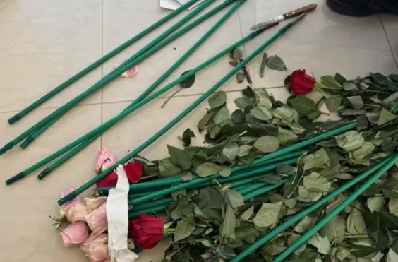 τριαντάφυλλα κοκαϊνη