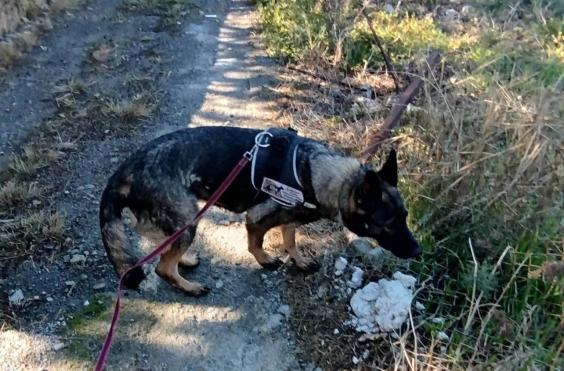 Εντόπισαν 10 ύποπτα δολώματα 