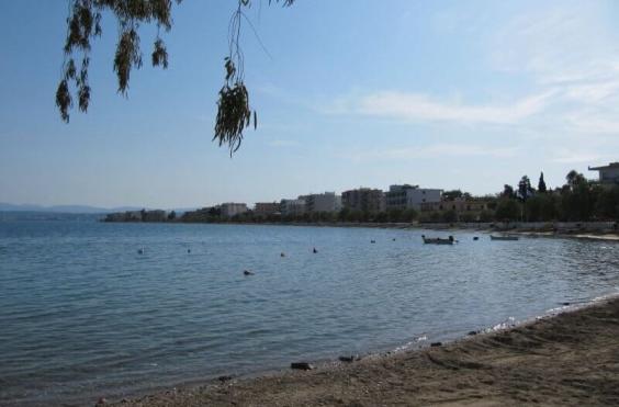 ΛΕΥΚΑΝΤΙ