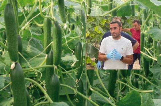 Μιχάλης Κενδριστάκης