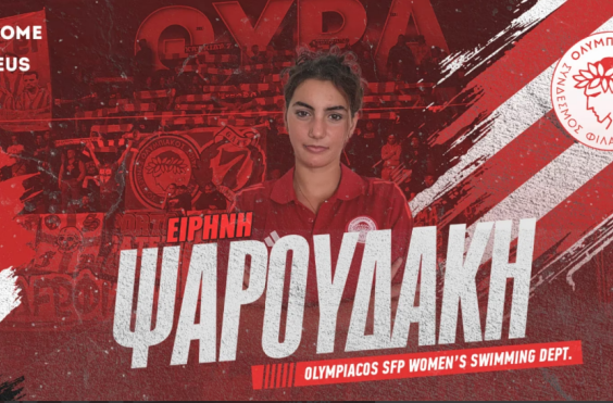 ψαρουδακη