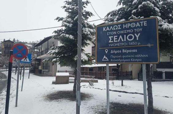 Σέλι