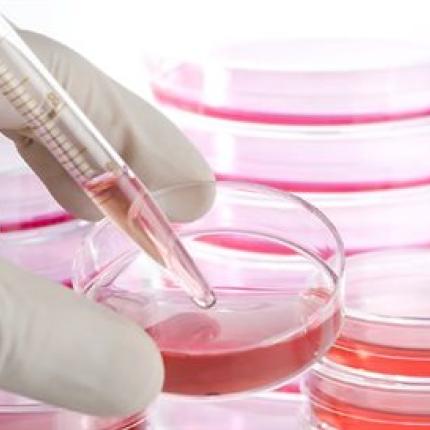 Νέα πιο αποτελεσματική μέθοδος δημιουργίας βλαστικών κυττάρων