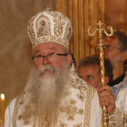 Τοποτηρητής Πατριαρχειου Σερβίας