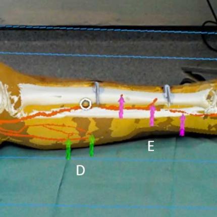 ολογράμματα