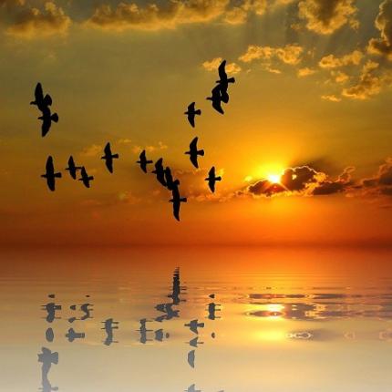 καλοκαίρι θάλασσα ζώδια