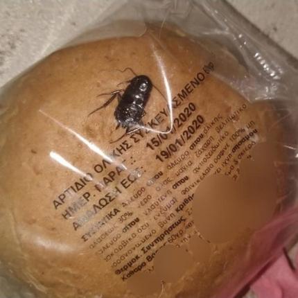 κατσαρίδα σε ψωμί.jpg